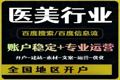 SEM服务公司经典案例集锦